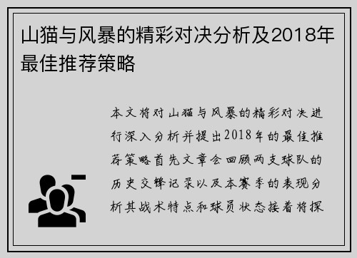 山猫与风暴的精彩对决分析及2018年最佳推荐策略