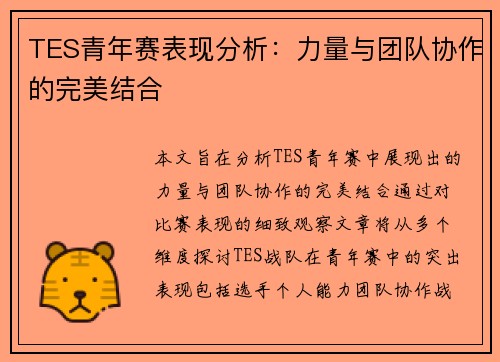 TES青年赛表现分析：力量与团队协作的完美结合