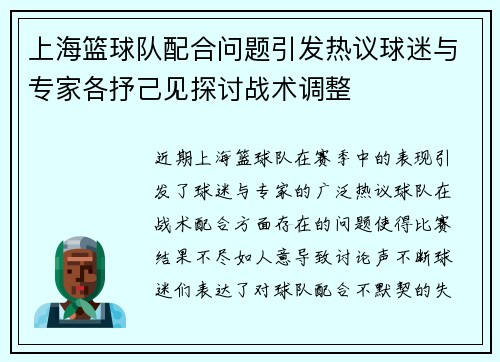 上海篮球队配合问题引发热议球迷与专家各抒己见探讨战术调整
