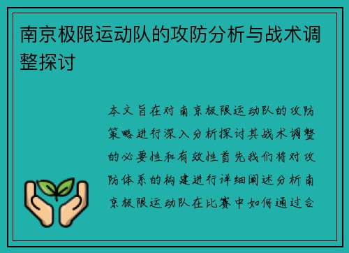 南京极限运动队的攻防分析与战术调整探讨